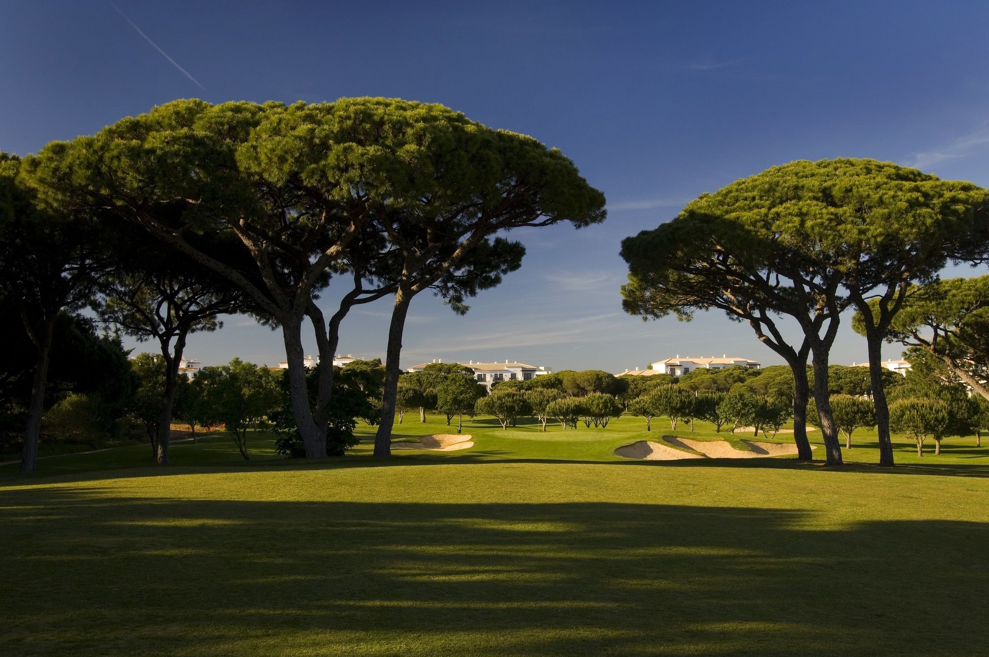 فندق Pine Cliffs Gardens البوفيرا المظهر الخارجي الصورة