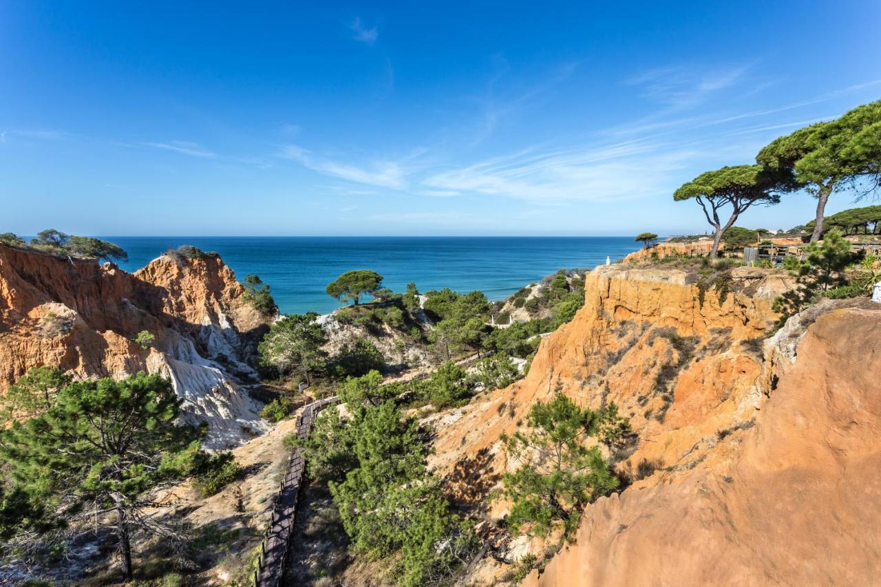 فندق Pine Cliffs Gardens البوفيرا المظهر الخارجي الصورة